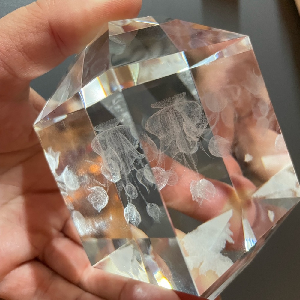 Crystal Glass Cube 3D Laser Etched  tulips 🌷 Art Paperweight in box.